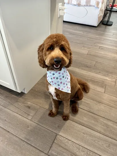 Dolce Couture Mobile Pet Spa — photo from their website