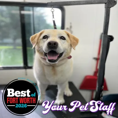 Your Pet Staff, LLC — photo from their website