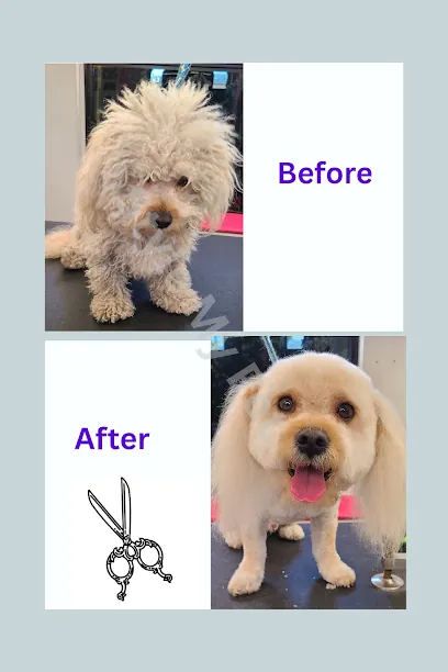 Style My Pet Mobile Dog Grooming — photo from their website