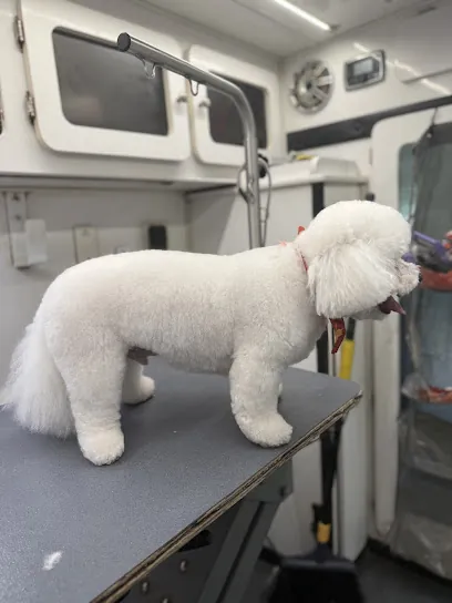 Meow Ruff Mobile Grooming — photo from their website