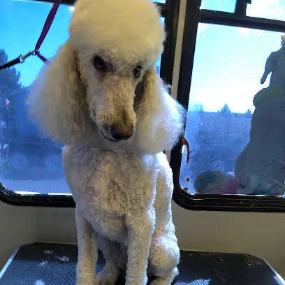 Fancy Paw Spa Mobile Grooming — photo from their website