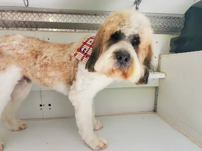 Pet care mobile grooming — photo from their website