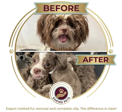 Empire Pets Mobile Grooming — photo from their website