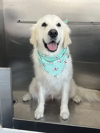 Mobile Mutt Grooming — photo from their website