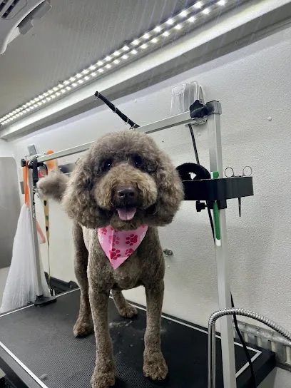 Charlies Paws Mobile Dog Grooming — photo from their website