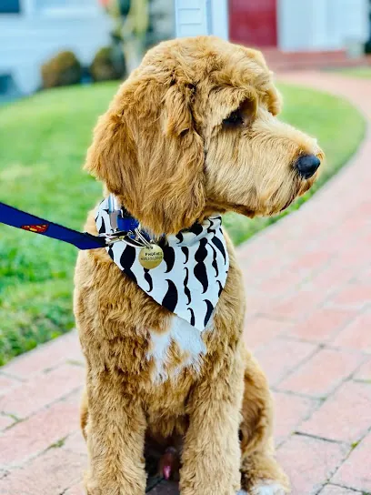 Puppylux Mobile Spa — photo from their website