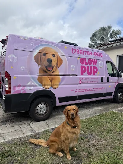 Glow Pup Mobile Dog Grooming — photo from their website