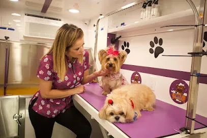 Papet's Mobile Grooming — photo from their website