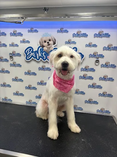 Barks n’ Bubbles Mobile Dog Grooming — photo from their website
