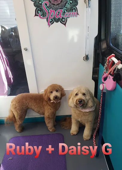 Zen Mobile Pet Spa — photo from their website