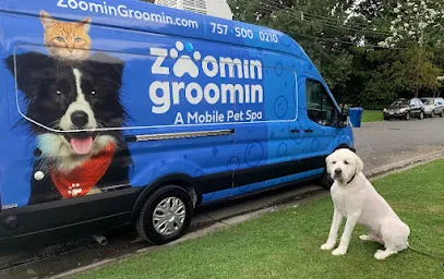 Zoomin Groomin — photo from their website