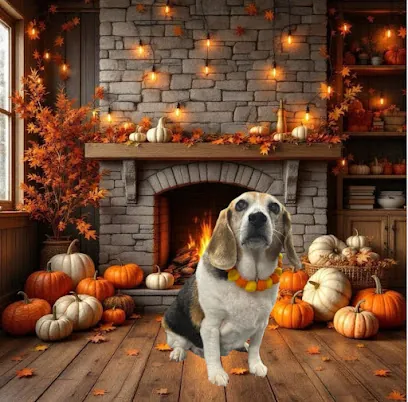 Gypsy Hill Mobile Pet Grooming Studio — photo from their website