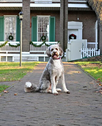 Fancy Fur mobile grooming — photo from their website