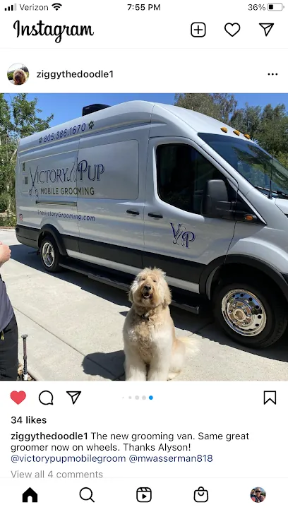 Victory Pup Mobile Grooming — photo from their website
