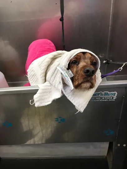 The House That Ruth Built mobile pet grooming — photo from their website