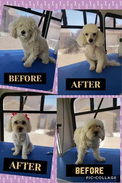 Precious Dog Grooming Mobile Service — business logo from Google