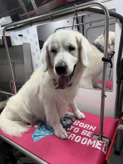 Too Cute Mobile Grooming LLC — photo from their website