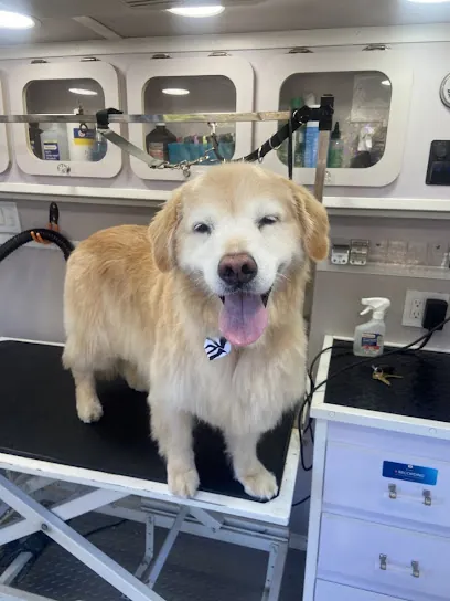 CaliPet Mobile Pet Grooming — photo from their website