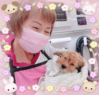 Jun's VIPet Mobile Spa INC — photo from their website