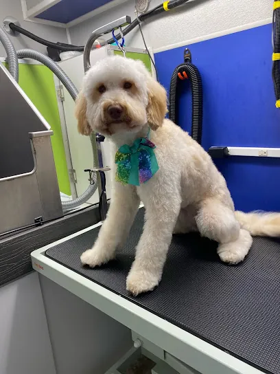 Love On A Leash | Mobile Dog Grooming — photo from their website