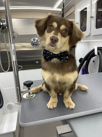 Spawkles Mobile Dog Grooming — photo from their website