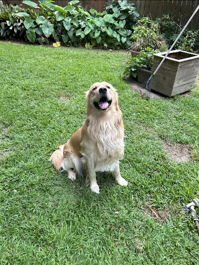 Smylie's Mobile Grooming — photo from their website