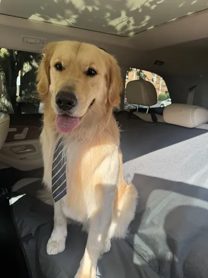 Bark & Bubbles Mobile Grooming — photo from their website