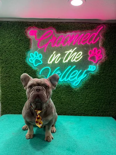 The Valley Mobile Grooming — photo from their website