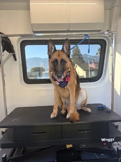 Preferred Mobile Pet Grooming — photo from their website