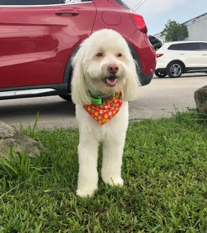Monicas Mobile Grooming — photo from their website