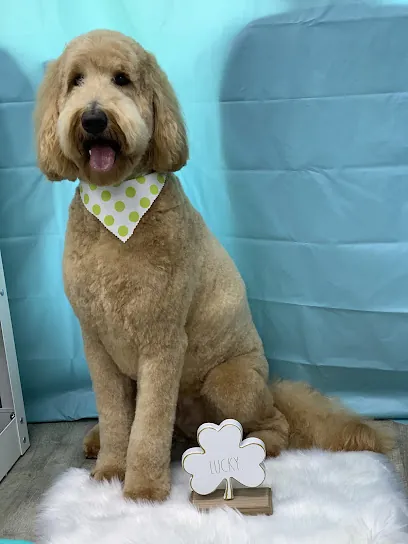 Pawmetto Mobile Grooming — photo from their website