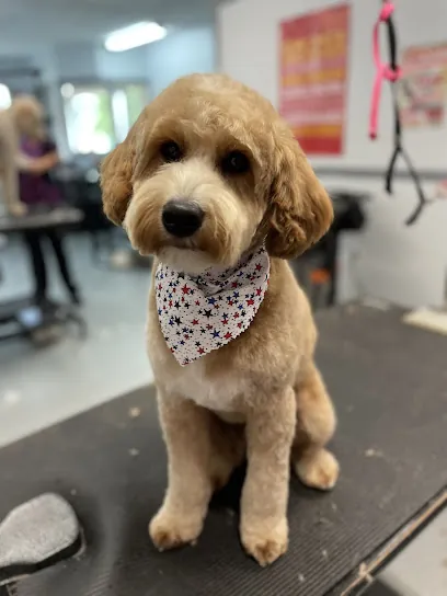 Lux Fur Mobile Pet Grooming — photo from their website