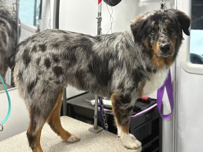 Furry Land Mobile Pet Grooming Central PA — business logo from Google