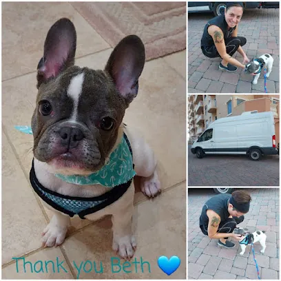 Beth Dowdy Mobile Dog Groomer — photo from their website