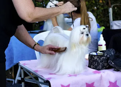 Mobile Dog Groomers Long Island — photo from their website
