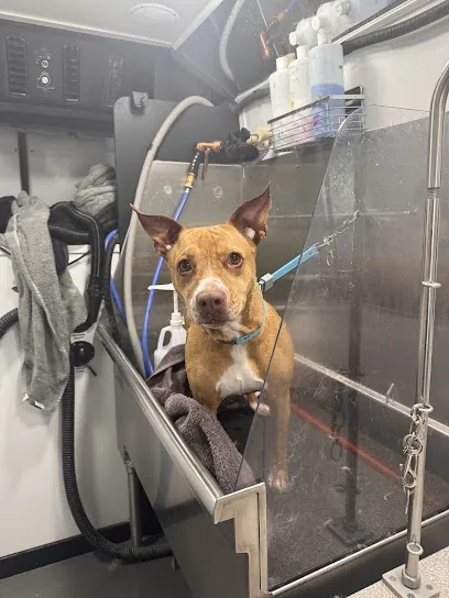 Best Furrends Mobile pet grooming LLC — photo from their website
