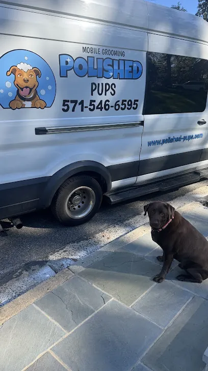 Polished Pups Mobile Dog Grooming — photo from their website