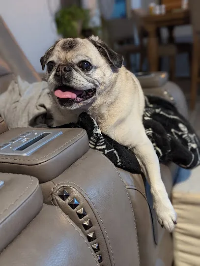 Pawlished Mobile Pet Spa LLC — photo from their website