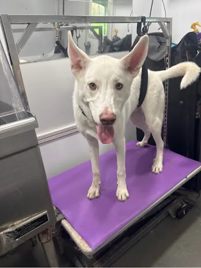 Celebrity Pooch Mobile Dog Grooming — photo from their website