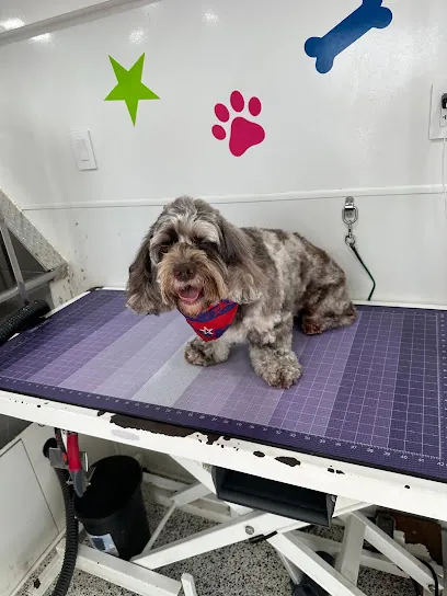 Ocean Mobile Pet Grooming — photo from their website