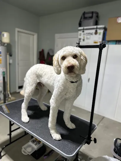 Peachy Pups Mobile Styling — photo from their website