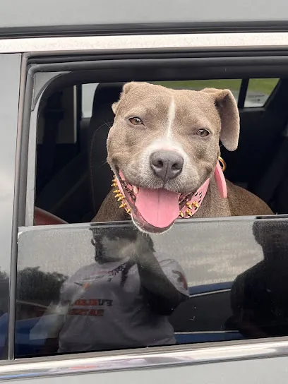 Animal Hospital of Mobile — photo from their website