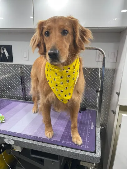 Hills Mobile Pet Grooming WPB — photo from their website