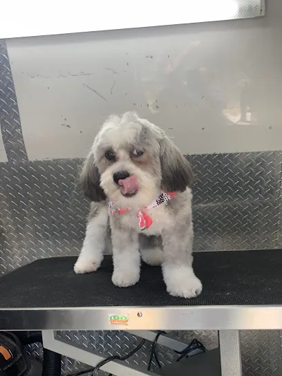 Pet grooming mobile Miami — photo from their website