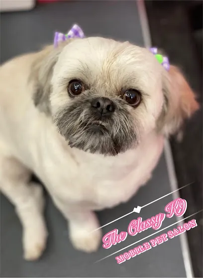 The Classy K9 Mobile Pet Salon — photo from their website