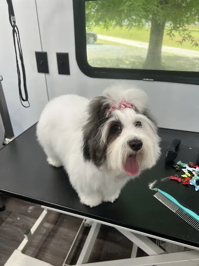 Gracie’s Mobile Grooming & Care, LLC — photo from their website