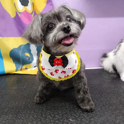 From Wags To Riches Mobile Grooming — photo from their website