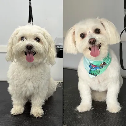 Happy Furry Son - Mobile Pet Grooming — photo from their website