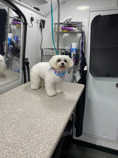 Barkbus Mobile Dog Grooming — photo from their website