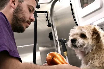 Jungle Pet Spa Mobile Pet Grooming Los Angeles — photo from their website